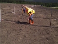 Planting Trees on the Reclaimation Area