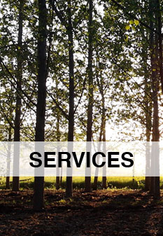 Services