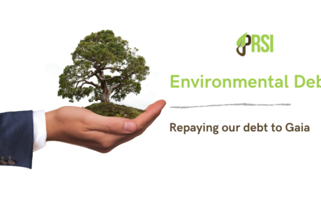 Environmental Debt: Repaying Gaia
